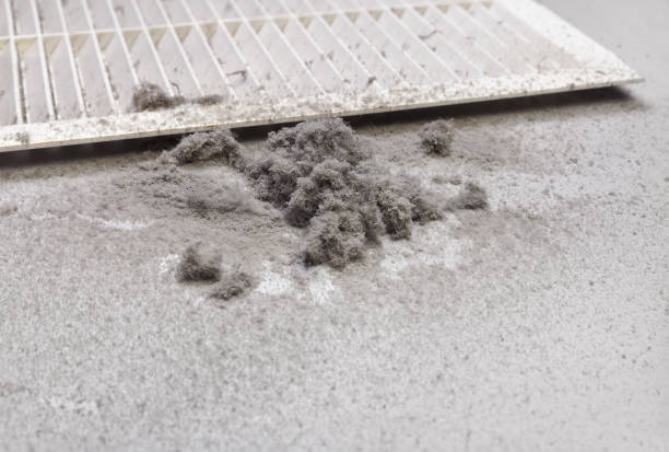 Best Affordable HVAC Duct Cleaning  in Bruceton, TN