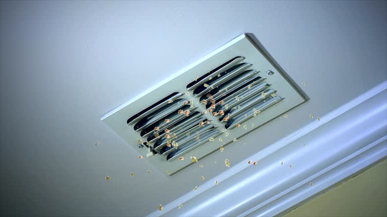 Home Air Vent Cleaning in Bruceton, TN