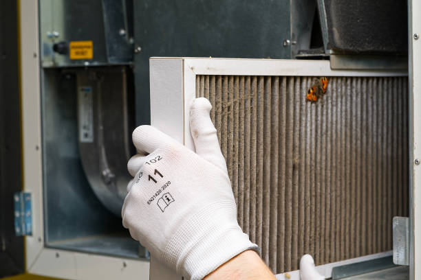 Best Ductwork Cleaning Services  in Bruceton, TN